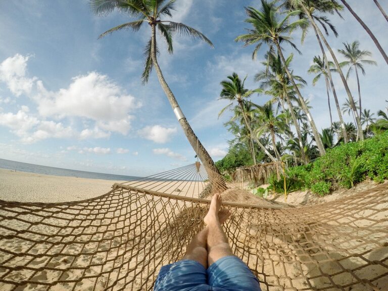 Stress-Free Travel: A Complete Guide to Smoother Journeys