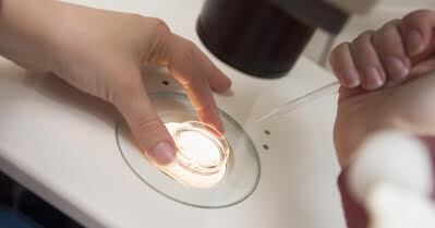 The Comprehensive Guide to In Vitro Fertilization (IVF)